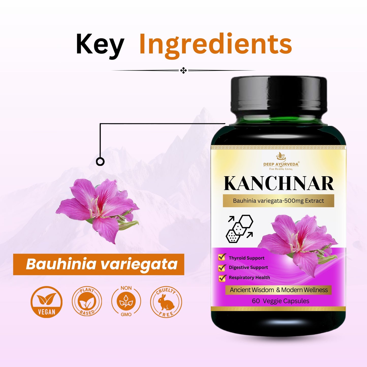 Kanchnar Vegan Capsules - Supports Thyroid Health, Detoxification & Wellness - Deep Ayurveda India