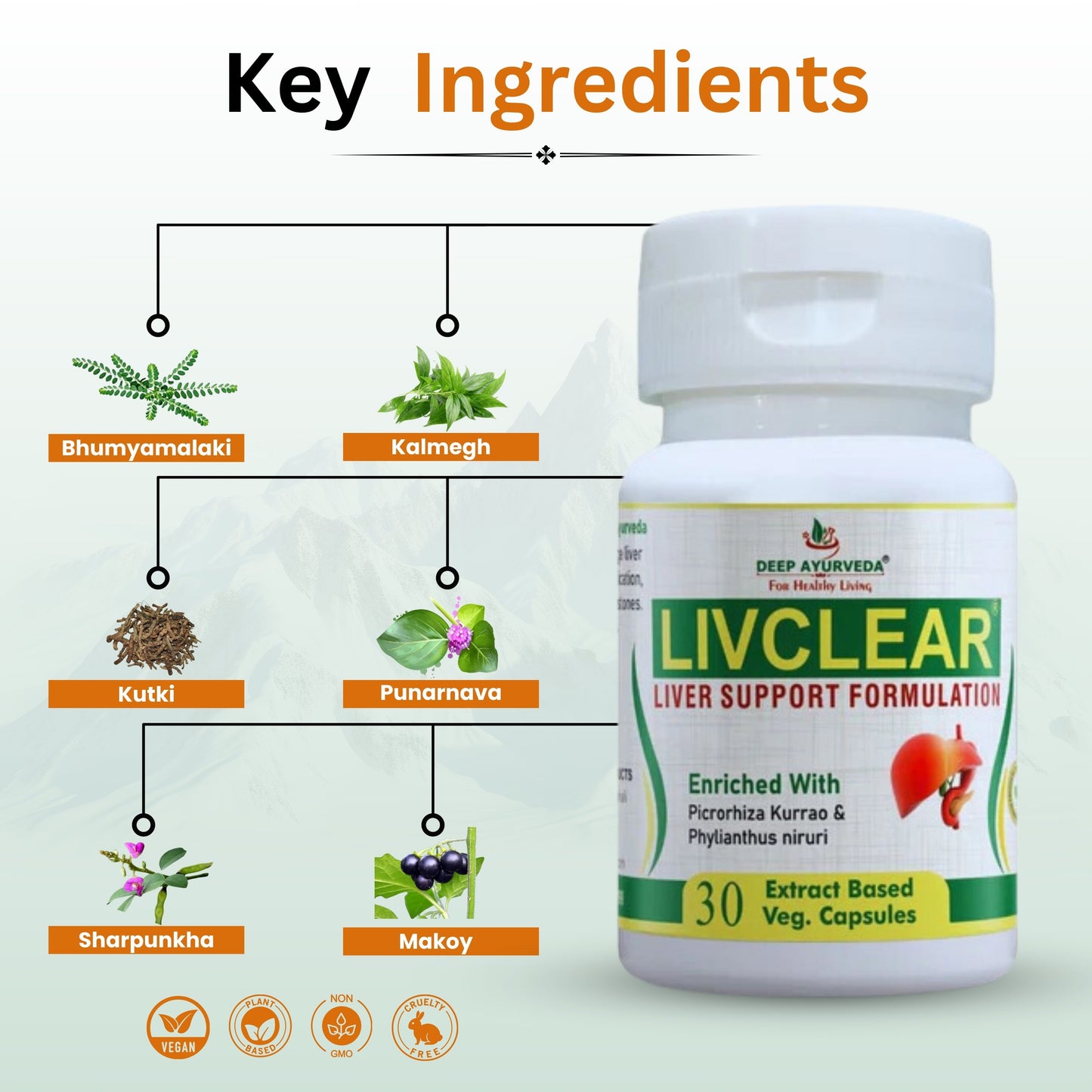 LivClear Helps in Fatty Liver and Liver Disease - Deep Ayurveda India