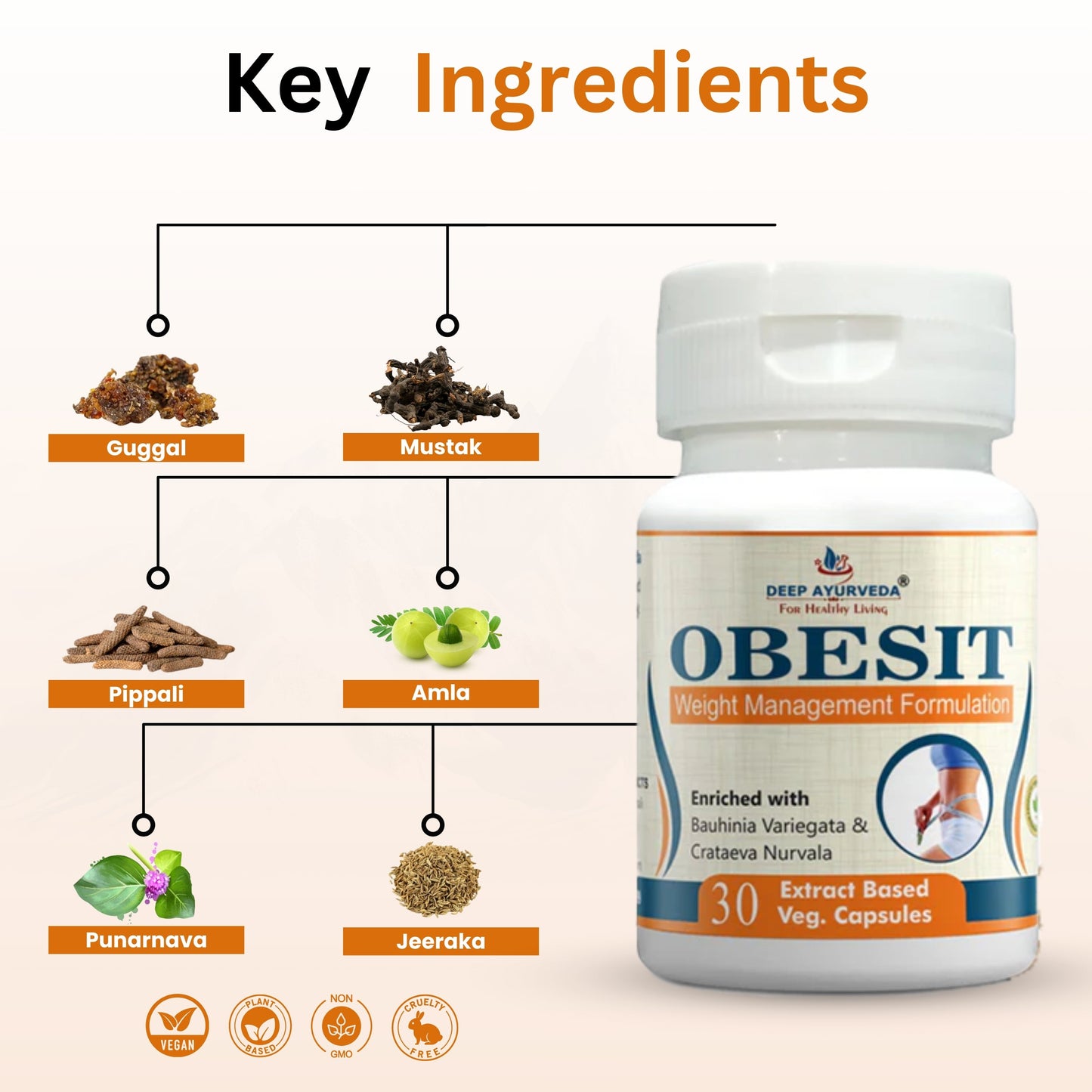 Obesit Helps in Weight Management and Improves Metabolism - Deep Ayurveda India