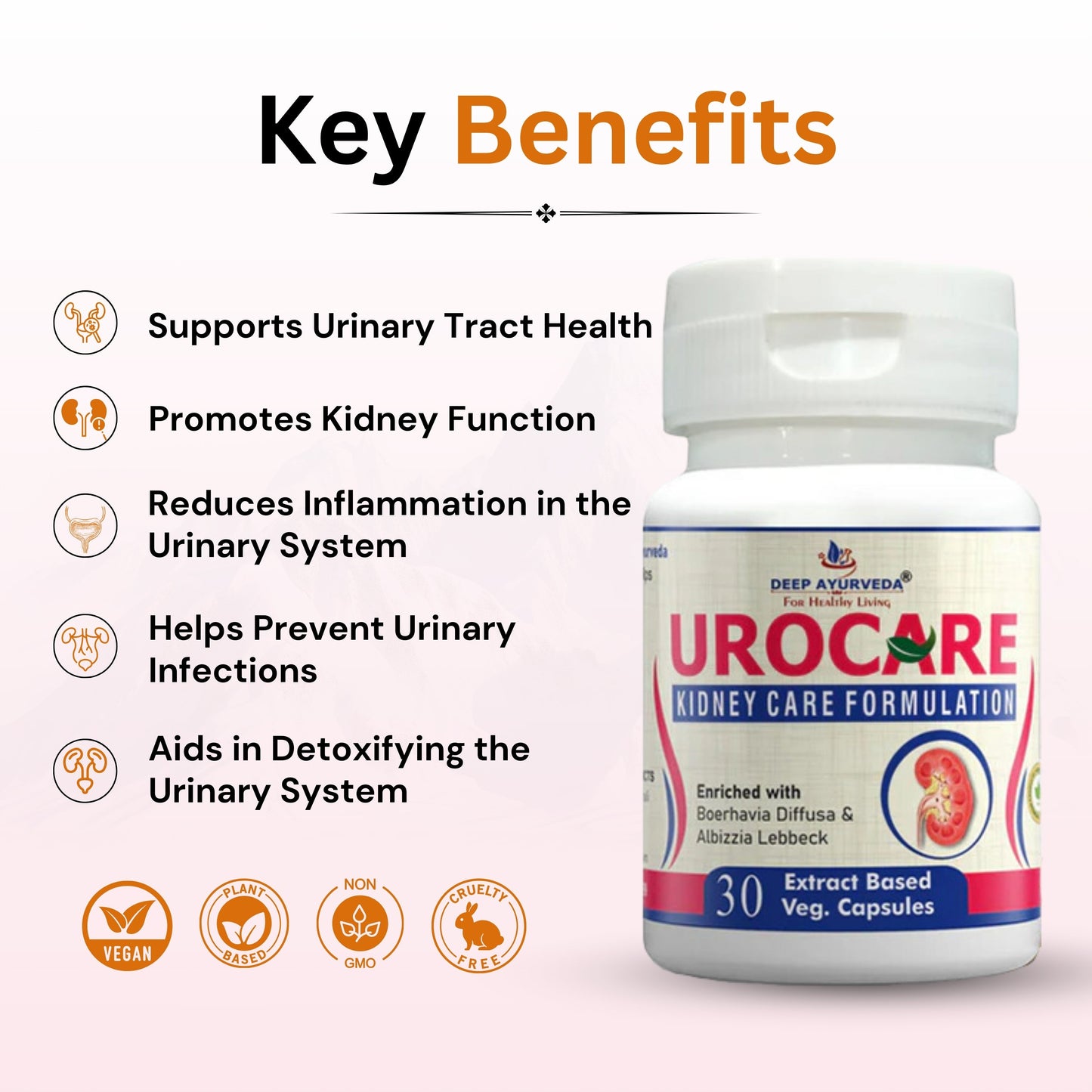 Urocare Capsule Improves Kidney Function and Prostate Health - Deep Ayurveda India