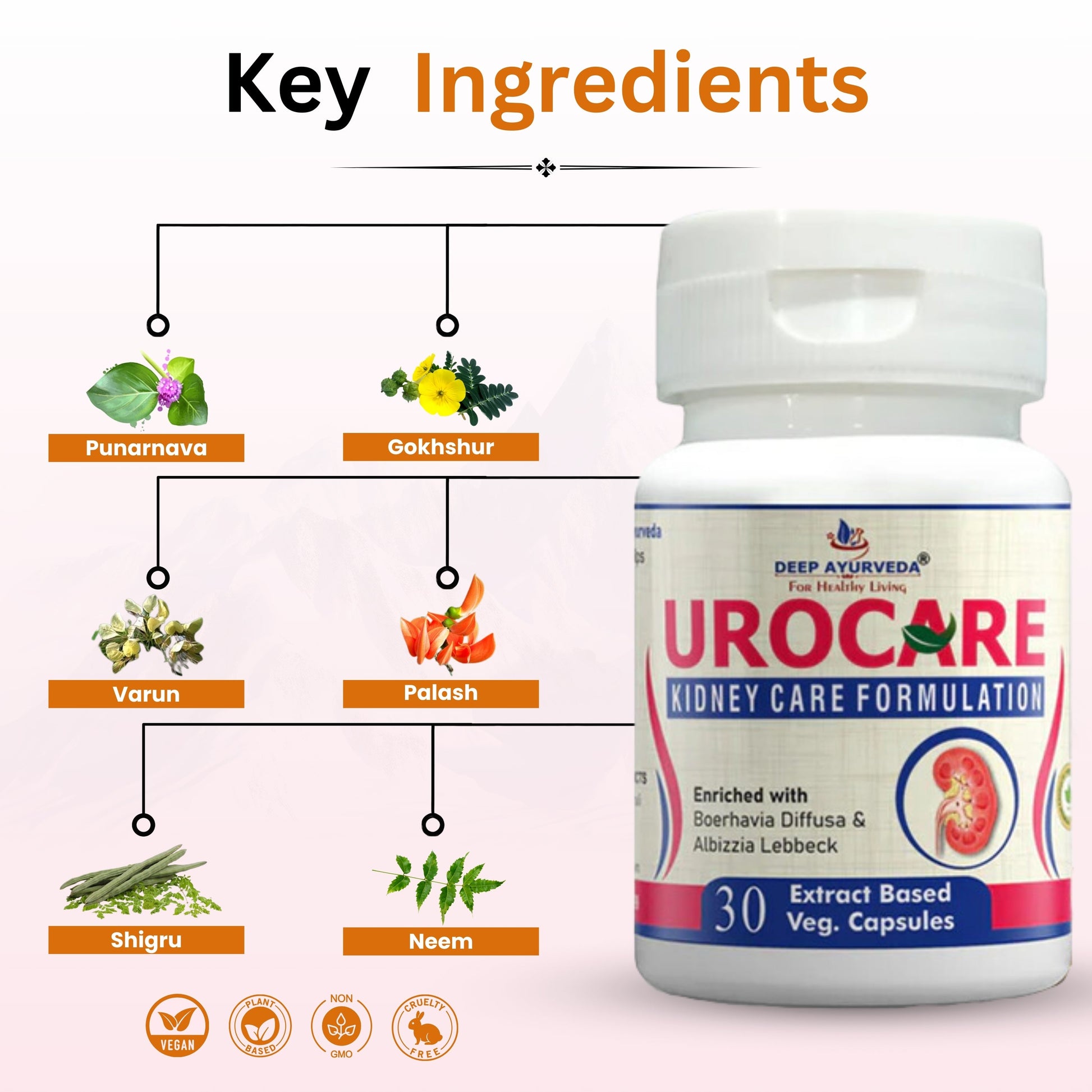 Urocare Capsule Improves Kidney Function and Prostate Health - Deep Ayurveda India