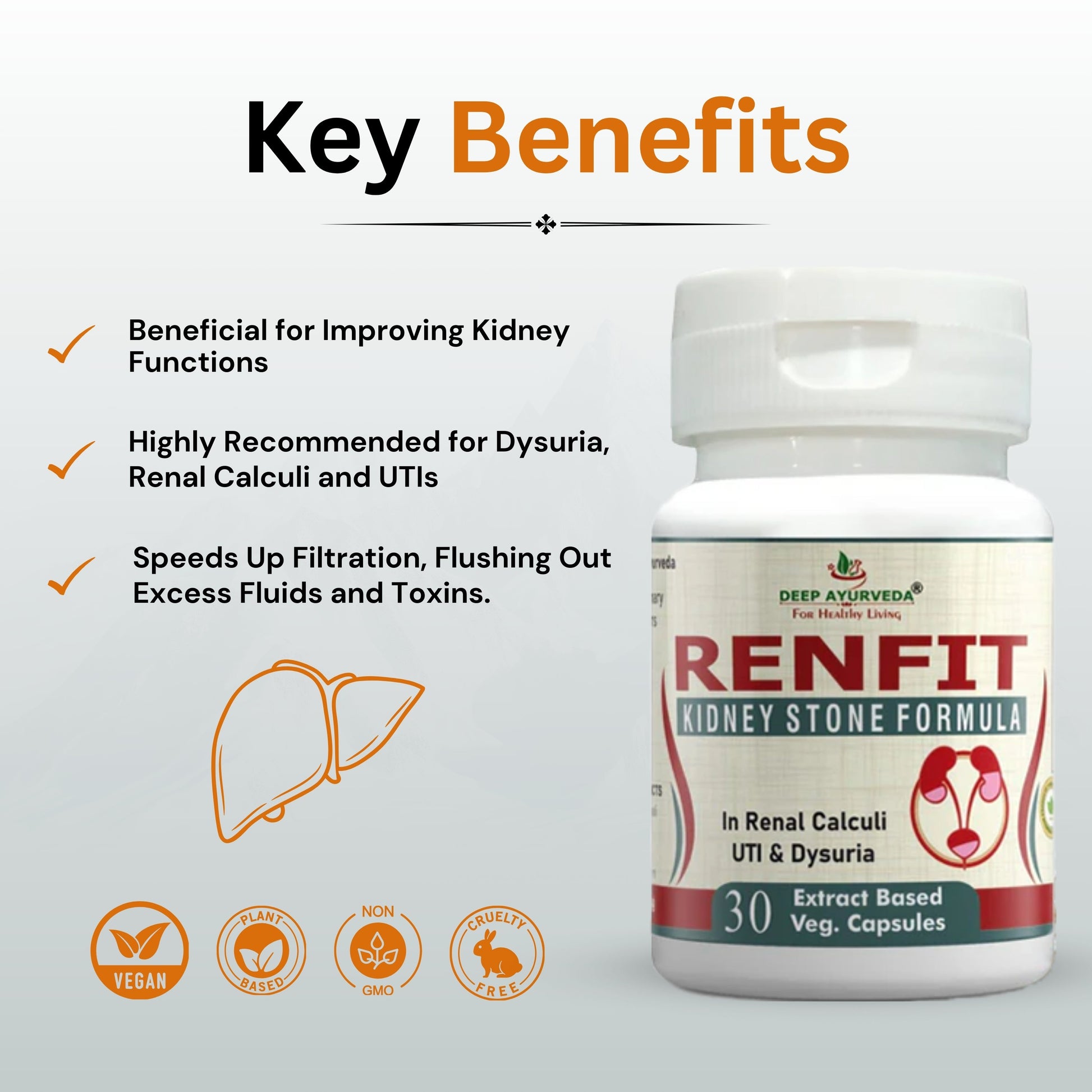Renfit Gives Relief from Kidney Stones and Helps in Kidney Detox - Deep Ayurveda India
