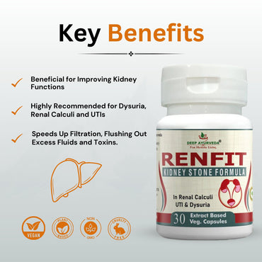 Renfit Gives Relief from Kidney Stones and Helps in Kidney Detox - Deep Ayurveda India