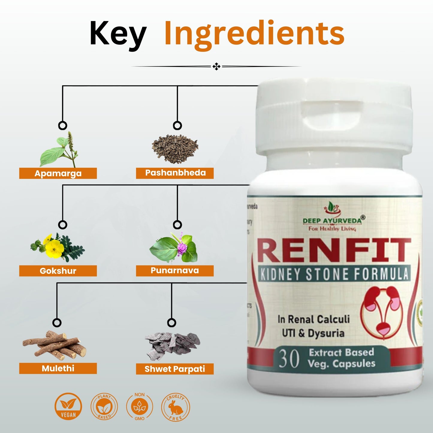 Renfit Gives Relief from Kidney Stones and Helps in Kidney Detox - Deep Ayurveda India