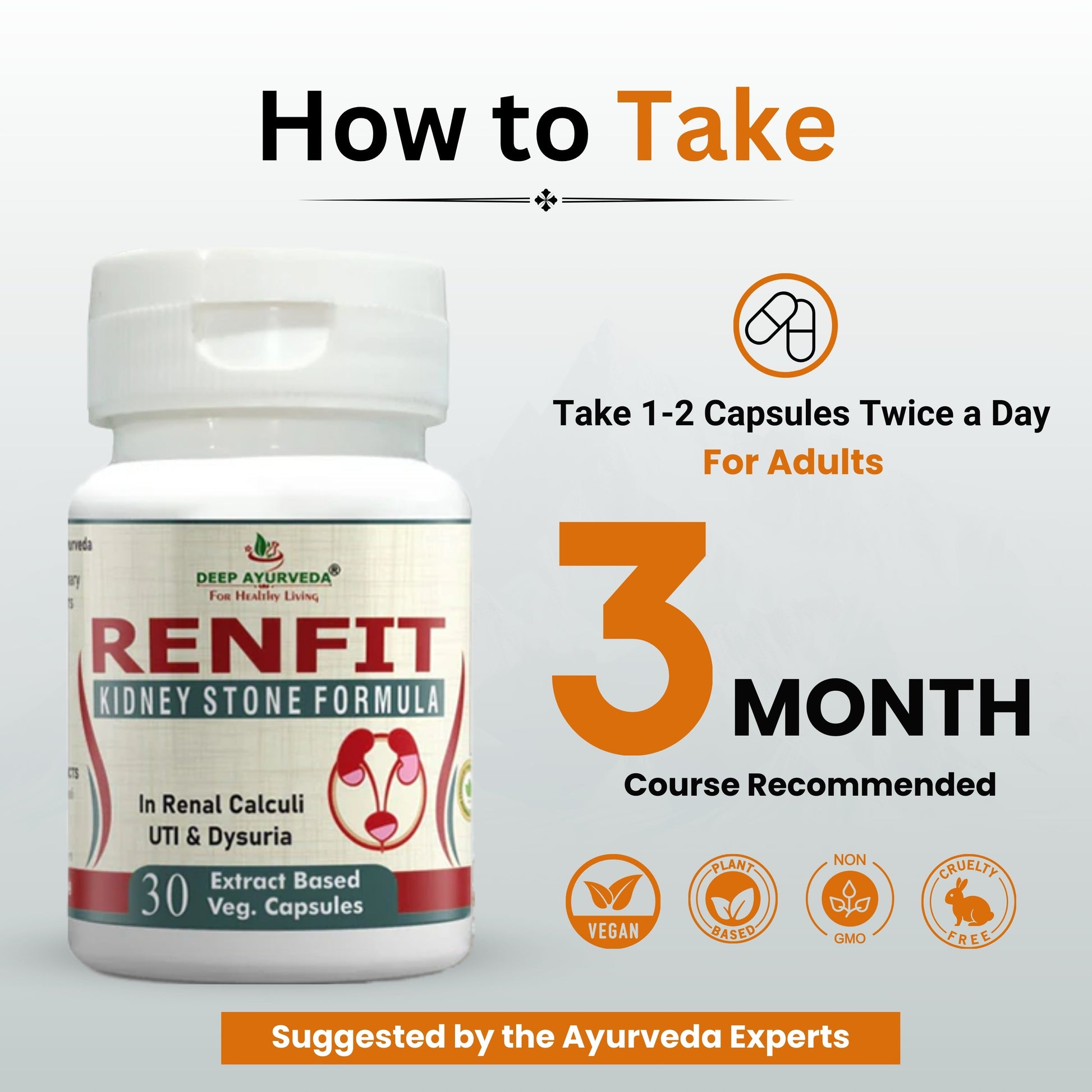 Renfit Gives Relief from Kidney Stones and Helps in Kidney Detox - Deep Ayurveda India
