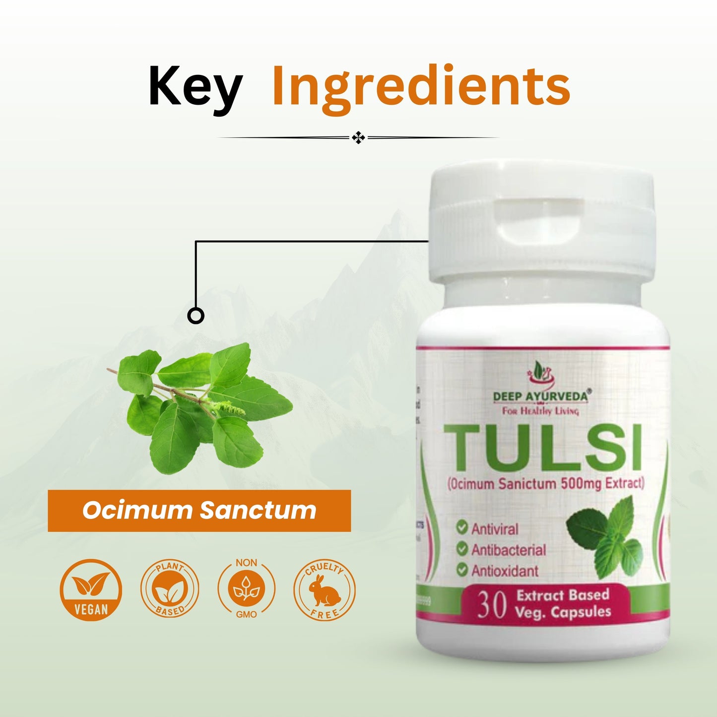 Tulsi Vegan Capsules - Boosts Immunity, Supports Respiratory Health & Detoxification - Deep Ayurveda India