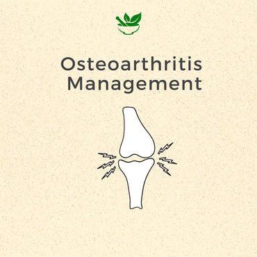 Osteo Arthritis Ayurvedic Management Pack - Deep Ayurveda India