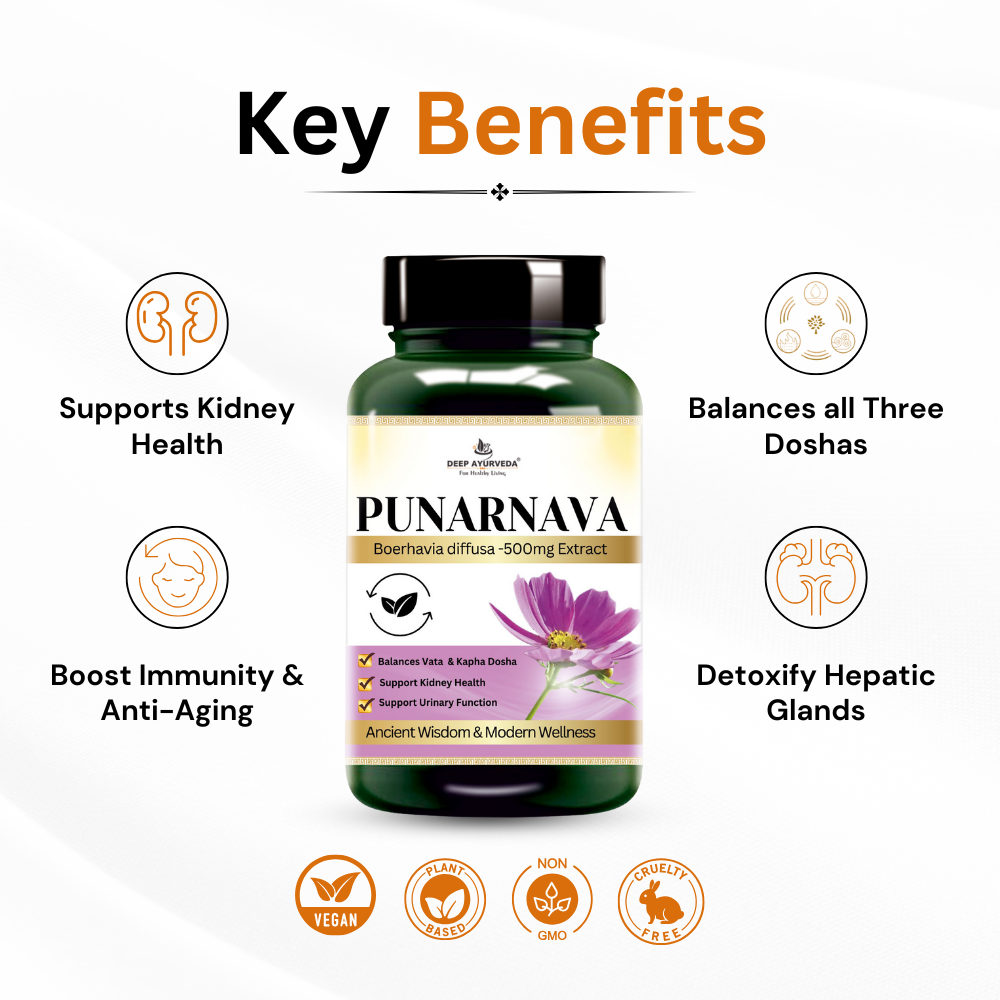 Punarnava vegan capsules by Deep Ayurveda promotes kidney health, detoxification and urinary wellness key benefits