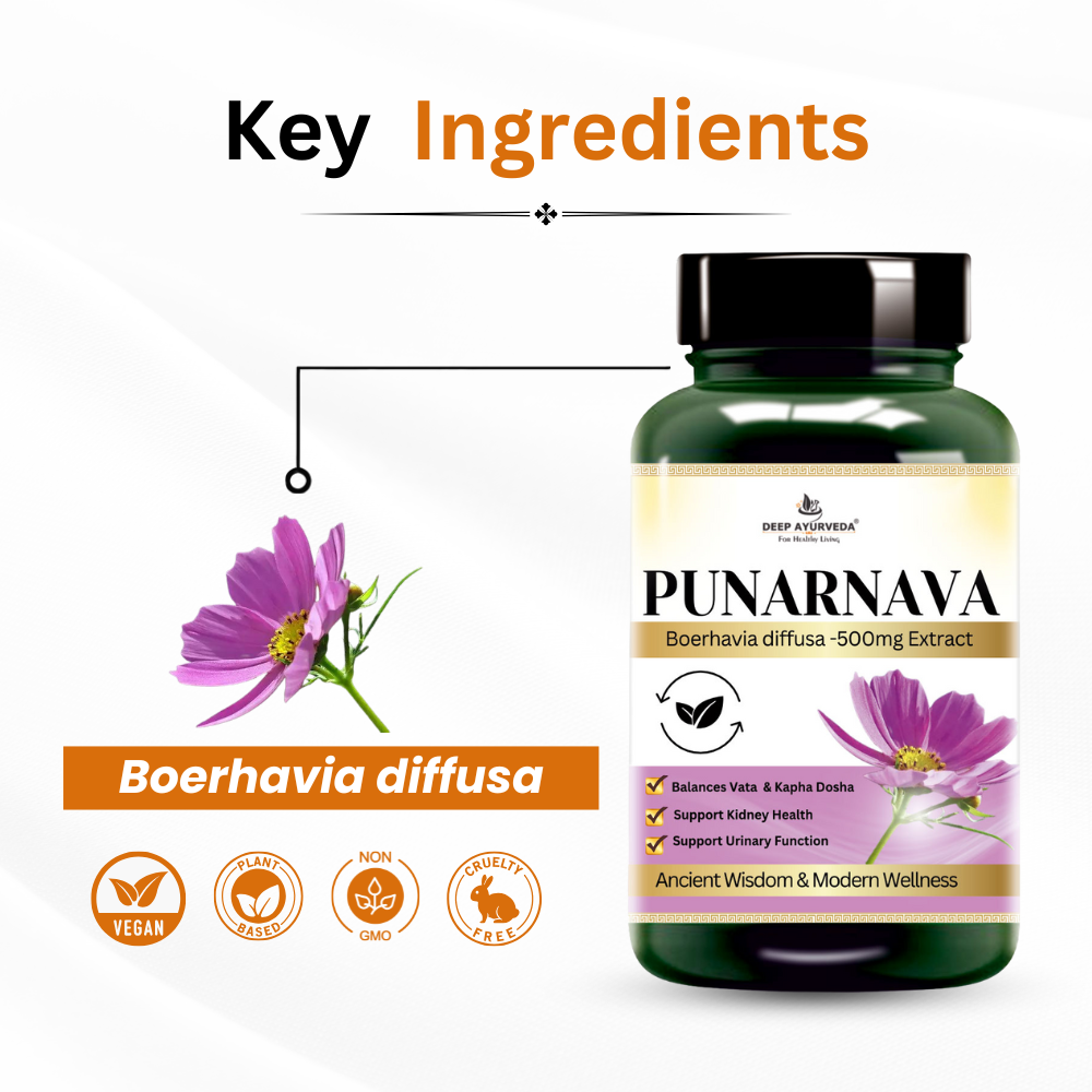 Punarnava vegan capsules by Deep Ayurveda promotes kidney health, detoxification and urinary wellness key ingredients