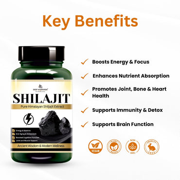 Shilajit capsules benefits