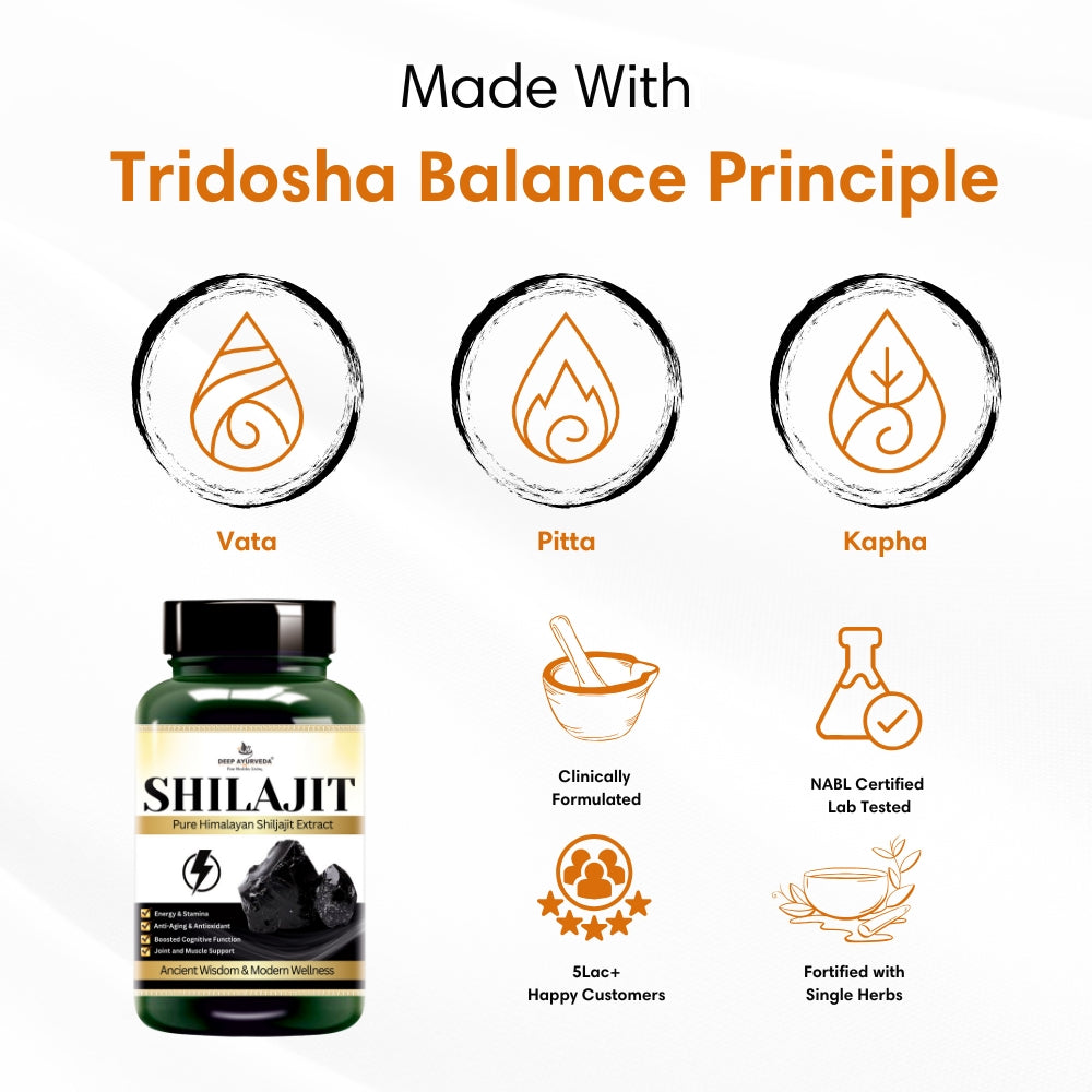 Shilajit capsules price