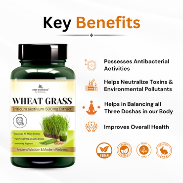 Wheatgrass Vegan Capsules Detoxifies, Boosts Immunity and Promotes Wellness key benefits by Deep Ayurveda